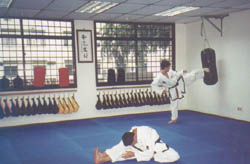 A view of the dojang